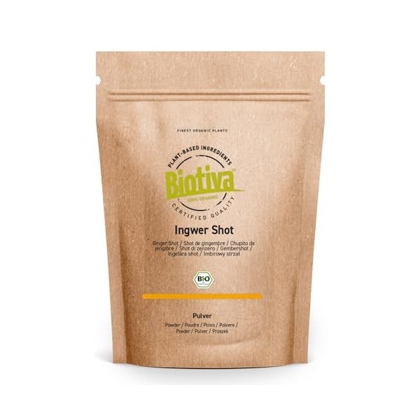 Shot de gingembre bio 200g - Gingembre curcuma mangue cannelle & poivre de Cayenne - Mis en bouteille et contrôlé en Allemagn