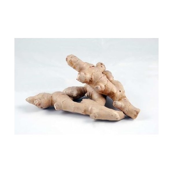 Gingembre frais 200g