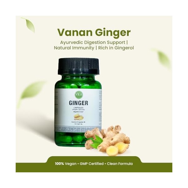 Vanan Gingembre 100% Naturel | Extrait de Racine 250 mg | Digestion, Confort Intestinal & Soutien Immunitaire | Gélules Végan