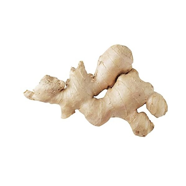 Gingembre Frais - Lot de 1, 2, 5, 10 et 20kg - Livraison Gratuite France - Expédition depuis France par la sté Bo Time 0.5, 