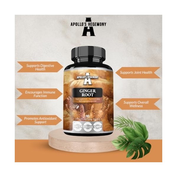 Ginger Root 500 mg, Extract contains 5% Gingerols, 90 Vegan Capsules, 3 Months Supply, Ginger Herbal Supplements for Digestiv