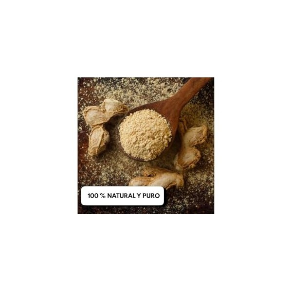Gingembre en poudre 200 g bio | INKANAT | 100 % naturel et pur | arôme intense et propriétés digestives