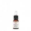 ERB ESTRATTO AROMATICO ZENZERO E LIMONE 10ML