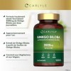 Ginkgo Biloba 3500mg | 365 Comprimés Végans | Capsules d’extrait de Ginkgo | Hautement Dosé | par Carlyle