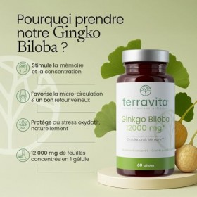 GINKGO BILOBA Extra Fort | Circulation Sanguine - Mémoire - Concentration - Acouphènes | Extrait 50:1 Hautement Dosé 12000 mg