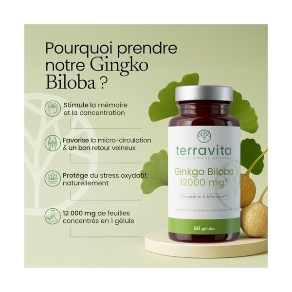 GINKGO BILOBA Extra Fort | Circulation Sanguine - Mémoire - Concentration - Acouphènes | Extrait 50:1 Hautement Dosé 12000 mg
