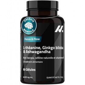 L-Théanine, Ginkgo Biloba, Ashwagandha – Nootropique avec Bacopa Monnieri, caféine naturelle, vitamines B6 & B12 fortement do