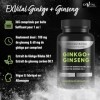 EXVital® Ginkgo + Ginseng, 365 comprimés, extraits de plantes 50:1, hautement dosé – Ginkgo Biloba & Ginseng coréen – Testé e