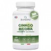 Bandini® Ginkgo Biloba 6000mg 365 comprimés 1 an 50:1 Extrait pur de Ginko Biloba avec Flavones Glycosides et Terpènes Lact