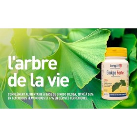 LongLife® Ginkgo Forte | Ginkgo biloba avec centella, choline et inositol | Microcirculation, mémoire et fonctions cognitives