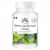 Extrait de Ginkgo Biloba 95mg - 90 Gélules - Végétarien | Herba Direkt - Qualité des pharmacies allemandes