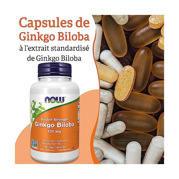 Now Foods, Double Strength Ginkgo Biloba, 120mg, 100 Capsules végétaliennes, Testé en Laboratoire, Sans Soja, Sans Gluten, Vé