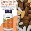 Now Foods, Double Strength Ginkgo Biloba, 120mg, 100 Capsules végétaliennes, Testé en Laboratoire, Sans Soja, Sans Gluten, Vé