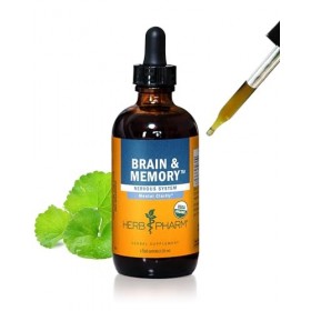 Herb Pharm Brain and Memory Herbal Formula with Ginkgo for Memory and Concentration- 4 Ounce