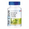 Fair & Pure® - Ginkgo Capsules - Extrait de Ginkgo Biloba 95mg 24% Flavone - min. 6% Lactone - végétalien - 90 capsules