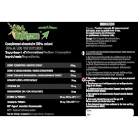 Goldyzen Herbal Power - Compléments alimentaires à base de plantes pour hommes, Au complexe de Ginseng- Augmentation de la én