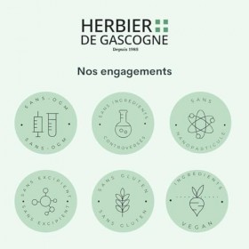 Houblon BIO | 200 gélules | Sommeil & Relaxation | 250 mg dosage 100% naturel sans additif et non comprimé | LHERBIER DE GAS