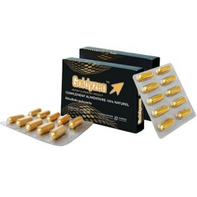 Goldyzen Complexe de Ginseng - Complément alimentaire 100% à base de plantes, stimulant lendurance et la puissance – Nouvell