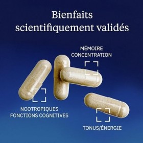 Ginseng BIO Coréen - Panax Ginseng Rouge - Racines 6 ans dâge - 20% Ginsénosides - Vitalité, Concentration, Stress, Immunité