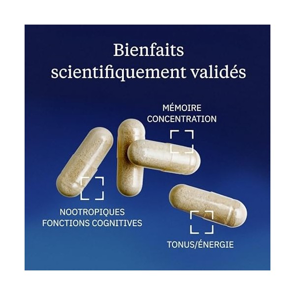 Ginseng BIO Coréen - Panax Ginseng Rouge - Racines 6 ans dâge - 20% Ginsénosides - Vitalité, Concentration, Stress, Immunité