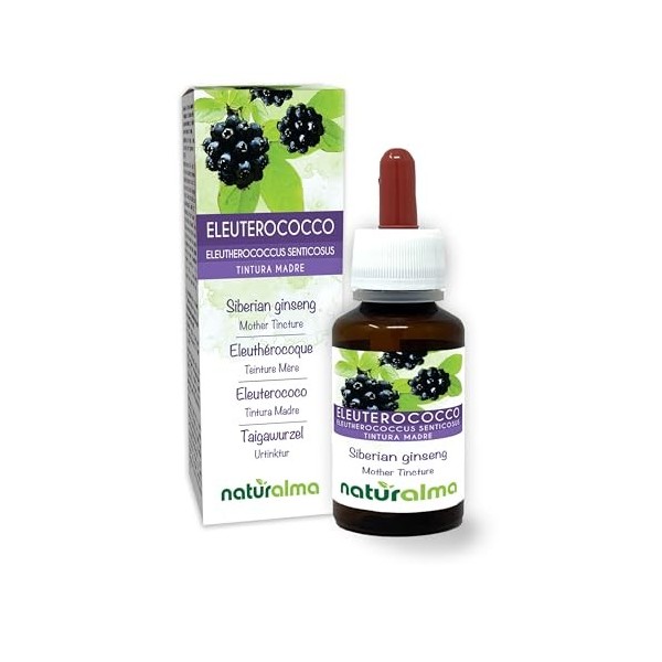 Éleuthérocoque ou Ginseng de Sibérie Eleutherococcus senticosus racines Teinture Mère sans alcool Naturalma - Extrait liqui G...