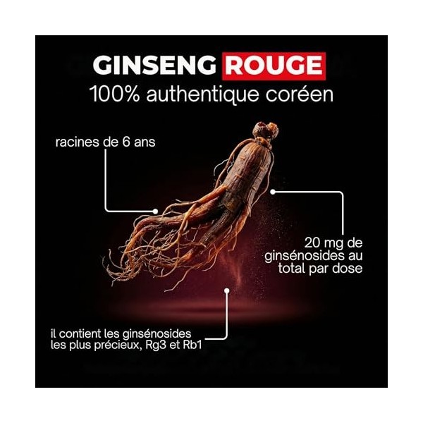 Ginseng Rouge de Corée 1000mg | Panax Ginseng Concentration Maximale en Ginsénosides | Énergie Mentale & Physique | Adaptogèn