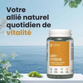 Formule Anti-Fatigue Naturelle | Énergie & Vitalité | Ginseng, Reishi & Astragale | Soutien Immunitaire & Résilience au Stres