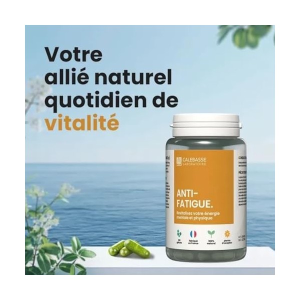 Formule Anti-Fatigue Naturelle | Énergie & Vitalité | Ginseng, Reishi & Astragale | Soutien Immunitaire & Résilience au Stres