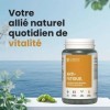 Formule Anti-Fatigue Naturelle | Énergie & Vitalité | Ginseng, Reishi & Astragale | Soutien Immunitaire & Résilience au Stres