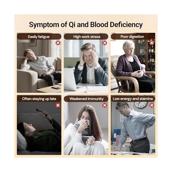 Générique Ginseng Five Treasures Kidney Tea, TeaBags, Ingredients Formula 1 Pack/25 Bags 