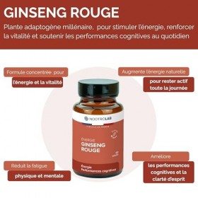 Ginseng Rouge – Vitalité, Énergie & Endurance – Plante Adaptogène – Racine de Panax ginseng - 60 Gélules Végétales – Nootrola