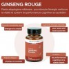 Ginseng Rouge – Vitalité, Énergie & Endurance – Plante Adaptogène – Racine de Panax ginseng - 60 Gélules Végétales – Nootrola
