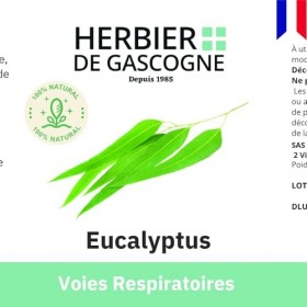 Eucalyptus 250mg | 200 gélules | Bien-être respiratoire | Maux de lhiver | 250 mg dosage 100% naturel sans additif et non co
