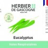 Eucalyptus 250mg | 200 gélules | Bien-être respiratoire | Maux de lhiver | 250 mg dosage 100% naturel sans additif et non co