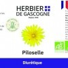 Piloselle BIO | 200 gélules | Draineur | Diurétique | Élimination | dosage 100% naturel sans additif et non comprimé | LHERB