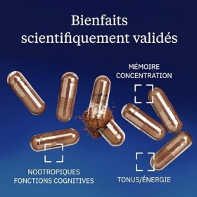 Ginseng Rouge Premium 200 mg - Haute Concentration - Ginsénosides 10% & Ginsans 6% - Vitalité, Énergie, Endurance, Concentrat