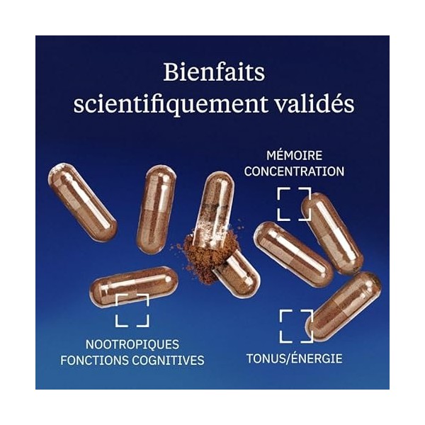 Ginseng Rouge Premium 200 mg - Haute Concentration - Ginsénosides 10% & Ginsans 6% - Vitalité, Énergie, Endurance, Concentrat