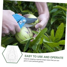 CANIGHT Lot De 3 Moules À Melon Réutilisables pour Le Jardinage 8 Cm pour Le Ginseng Et Les Légumes