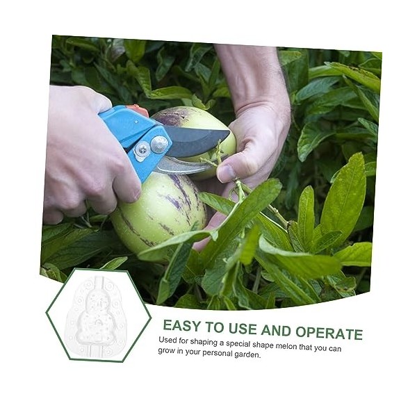 CANIGHT Lot De 3 Moules À Melon Réutilisables pour Le Jardinage 8 Cm pour Le Ginseng Et Les Légumes