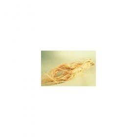 Ginseng rouge racine 1 Kg POUDRE Panax ginseng