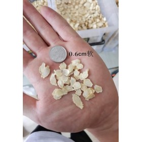 500 g 1,1 LB de ginseng Atlantique en tranches molles, 0,6-1 cm de diamètre en tranches Ginseng atlantique