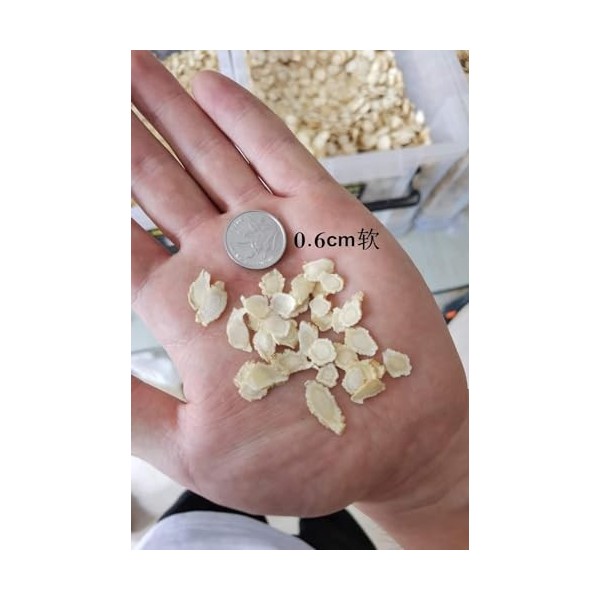 500 g 1,1 LB de ginseng Atlantique en tranches molles, 0,6-1 cm de diamètre en tranches Ginseng atlantique