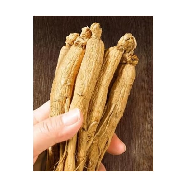 Racines de ginseng blanches - Racines de ginseng naturelles 8 ans - Racine de ginseng blanc 100 g 2 