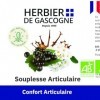 Complexe Souplesse Articulaire | 200 gélules | Harpagophytum BIO | Cassis BIO | Reine des Prés BIO | Saule BIO | 100% naturel