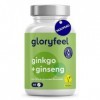 Ginkgo + Ginseng 365 Comprimés - Avec 24% de Glycosides de Flavones - Extrait de Panax Ginseng & Ginkgo Biloba 50:1 Hauteme