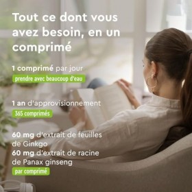 Ginkgo + Ginseng 365 Comprimés - Avec 24% de Glycosides de Flavones - Extrait de Panax Ginseng & Ginkgo Biloba 50:1 Hauteme