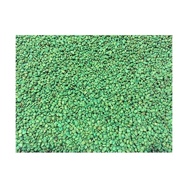 Germinazione I Semi: 200 + Semi Ginseng Ameano trattata STRATIFICATO del 2018 Stagione di Semina di altissima qualità