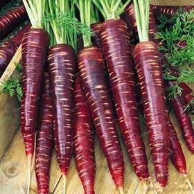 Semi: 100 Pezzi di Verdure della Frutta Drago Viola Ginseng Nutriente per la casa Giardino: Mix