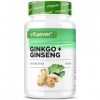 vit4ever Ginkgo + Ginseng - 365 Comprimés - Extrait spécial - Hautement dosé - Ginkgo Biloba + Ginseng Coréen - Qualité premi