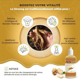 GINSENG ORIGINEL extrait de ginseng 100 ml – Extrait Liquide Pur – Vitalité, Énergie & Immunité – Fatigue – Sans Alcool – Fab